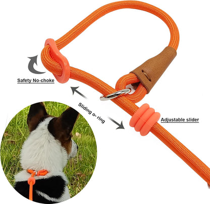 7ft Slip Lead Dog Leash + 6ft Slip Lead Dog Training Leash for Small Dogs, Black+Orange