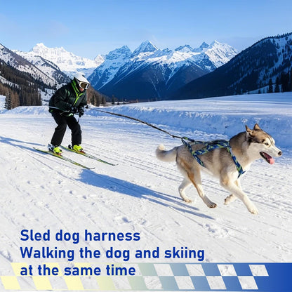 Dog Pulling Harness, Sled Dog Harness for Running, Pull Dogs Leash is Suitable for Cross-Country Running, Dogs Sports, Bicycle Traction, Ski Traction, Sled, Sled Dog 25.5kg (Blue, L)