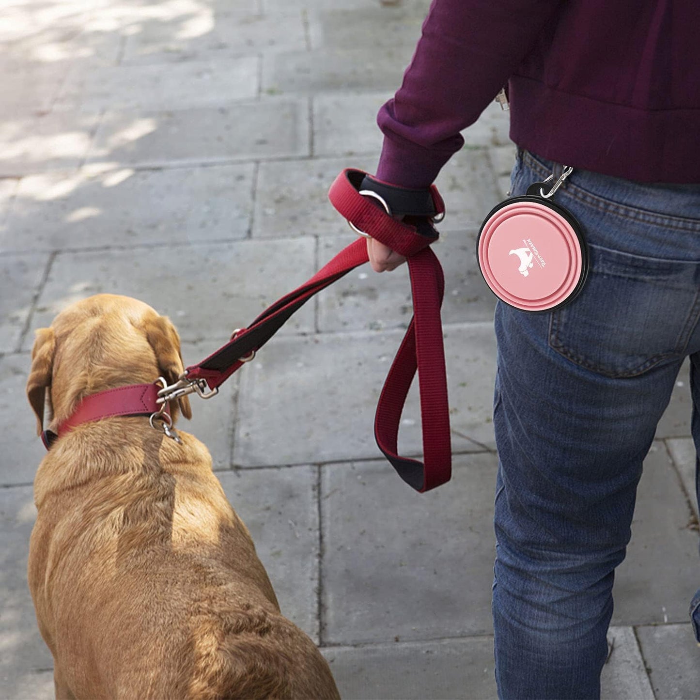 Collapsible Dog Bowls for Travel, 2-Pack Dog Portable Water Bowl for Dogs Cats Pet Foldable Feeding Watering Dish for Traveling Camping Walking with 2 Carabiners, BPA Free