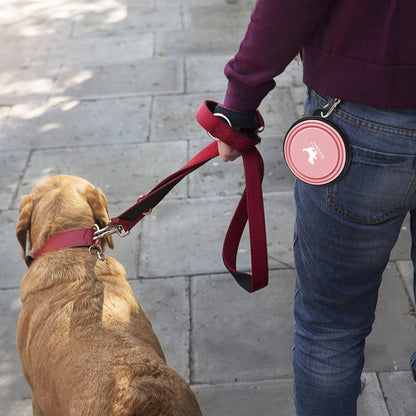 Collapsible Dog Bowls for Travel, 2-Pack Dog Portable Water Bowl for Dogs Cats Pet Foldable Feeding Watering Dish for Traveling Camping Walking with 2 Carabiners, BPA Free