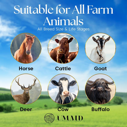 UMAID Himalayan Salt Lick 3 lbs On Rope for Horse, Deer, Goat, and Livestock Animals - Himalayan Salt Block 6 Pack