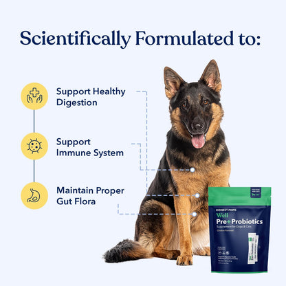 Honest Paws Probiotics for Dogs - Digestive & Immune Support Powder with Prebiotic Made in The USA, Chicken Flavor (30 Sticks)