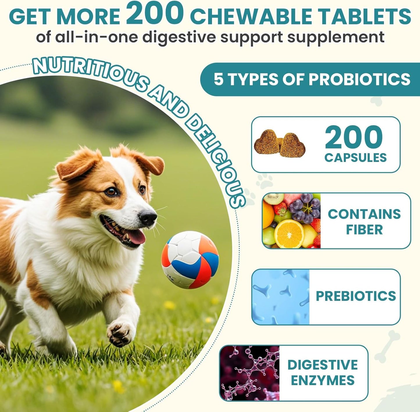 Probiotics for Dogs Gut Digestive Health Probiotic Chew for Dogs Digestive Enzymes Relieve Diarrhea Immunity Oral Problems Itching Constipation Prebiotics Dog Probiotics 200 Tablets Chicken Flavor