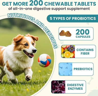 Probiotics for Dogs Gut Digestive Health Probiotic Chew for Dogs Digestive Enzymes Relieve Diarrhea Immunity Oral Problems Itching Constipation Prebiotics Dog Probiotics 200 Tablets Chicken Flavor