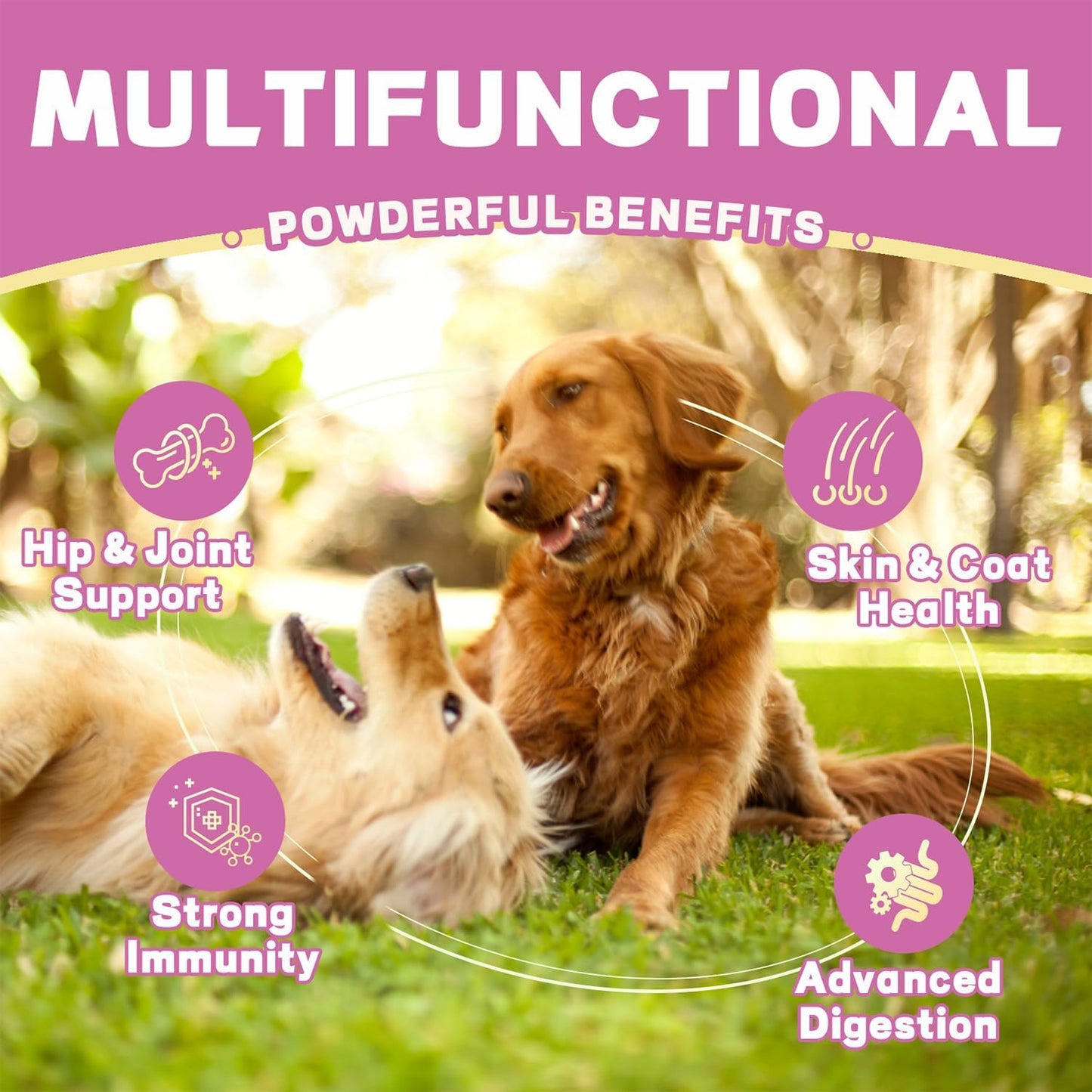 NutriTrail Multivitamin for Dogs – 10-in-1 Soft Chews with Glucosamine, Probiotics, Omega-3, Vitamins & Minerals – Supports Hip & Joint, Digestion, Skin & Coat, and Immune Health – Chicken, 120 Ct