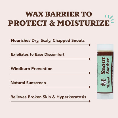 Natural Dog Company Snout Soother Travel Stick 0.15 oz – All Natural Dog Nose Balm for Dry, Cracked Snouts – Organic Moisturizing & Soothing Balm – Lick-Safe Mini Snout Care, Made in USA