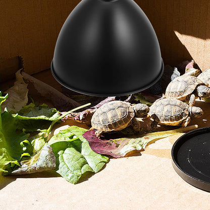 Reptile Heat Lamp Shade 8.5-Inch Metal Reflector Lampshade for Reptile Box Tank Heat Lamp Guard Suitable for Terrarium Heating and Habitat Lighting