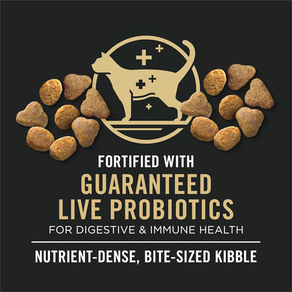 Purina Pro Plan Senior Cat Food Dry 7+ Complete Essentials Chicken and Rice Formula 14 Pound (Pack of 1)