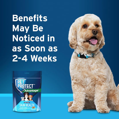 Pet Protect Skin Health Supplement for Dogs, Proprietary Free Form Blend, Bacon-Flavored Soft Chews (60 Count)