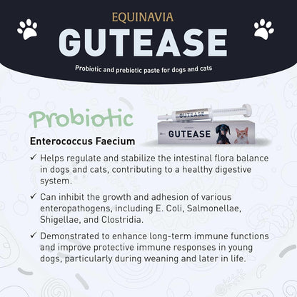 Equinavia GutEase Digestive Support Paste for Dogs & Cats – with Probiotics, Prebiotics, Glutamine, and Pectin – Easy Oral Supplement in 15ml or 30ml Syringe - 1 oz (30 ml) - 1 oz