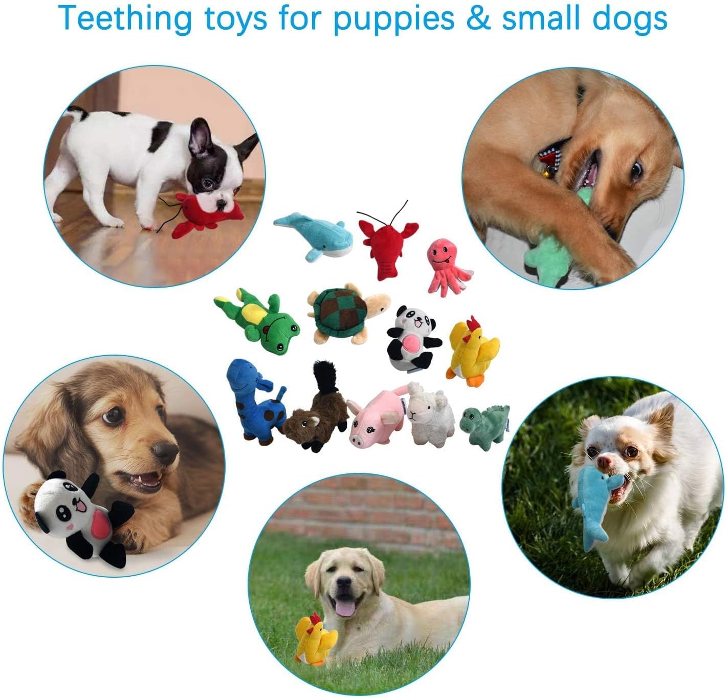 LEGEND SANDY Squeaky Plush Dog Toy Pack for Puppy, Small Stuffed Puppy Chew Toys 12 Dog Toys Bulk with Squeakers, Cute Soft Pet Toy for Small Medium Size Dogs