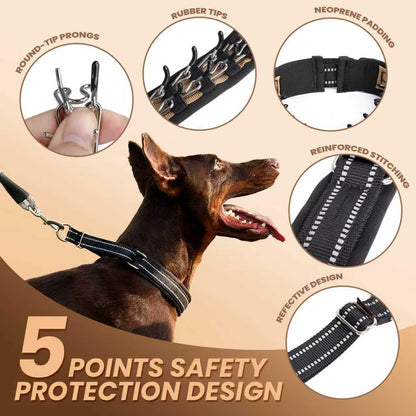 Hidden Prong Collar, Heavy Duty Martingale Design with Quick Release Metal Buckle, Nylon Slip Anti Pull Pinch Collar for Dog Behavior Training, Adjustable for Medium to Large Dogs.