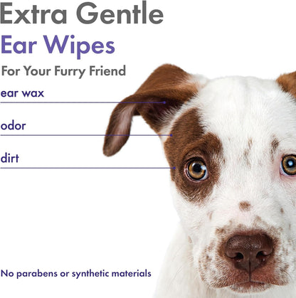 Petkin Plant-Based EarWipes, 80 Wipes, 2 Pack - Biobased & Sustainable Pet Ear Wipes for Dogs & Cats - Cleans Ear Area, Dirt, Odor & Wax - Consciously Cleans & Conditions - Easy to Use - Lavender