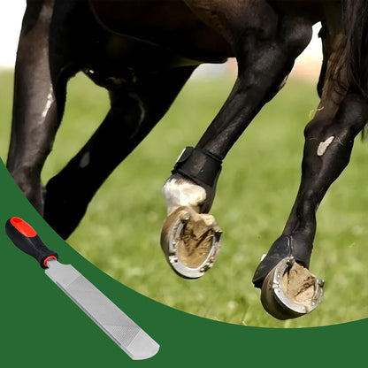 12 Inch Hoof Rasp, Carbon Steel Farrier File Tool, Trimming Tool Horse Rasp with Handle, Suitable for Horse Donkey Cow Goat Animal Hooves