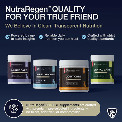 Select Digestive Senior Dog Probiotic Powder 30 Servings | Beef Flavored Dog Probiotics for Digestive Health, Supports Gut Health, Scratching, Itchy & Dry Skin, Allergies 2.1 Oz | 7 Bn CFU