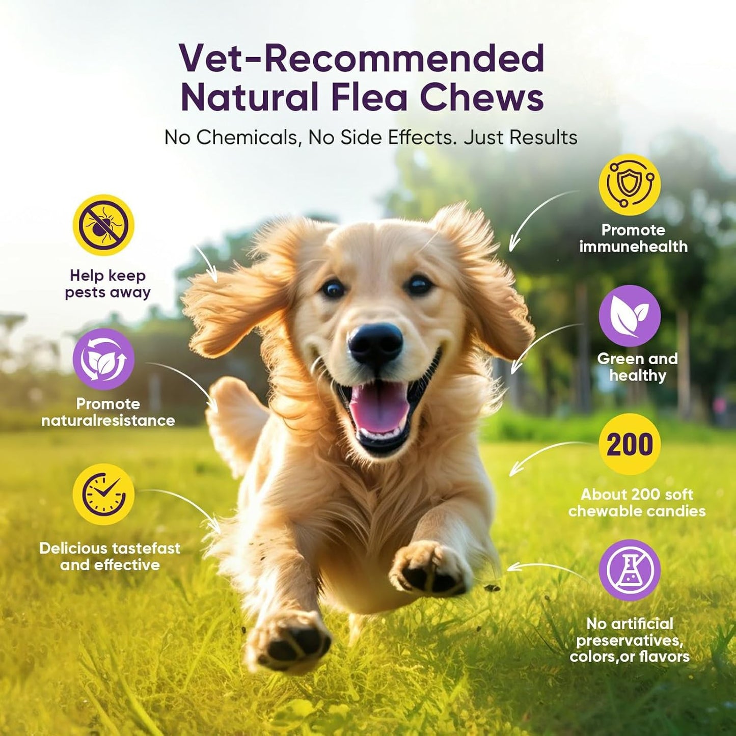 Dog Flea and Tick Treatment Chewable 200 Treatment Chews Natural Soft Chew Fleas Ticks Treatment Dog Oral Chewables Support Supplement Pest Defense Breeds and Ages Dogs Chicken Flavor