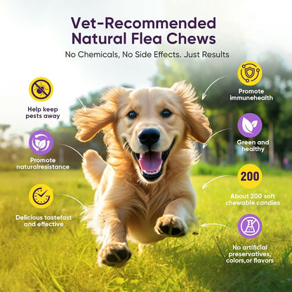 Dog Flea and Tick Treatment Chewable 200 Treatment Chews Natural Soft Chew Fleas Ticks Treatment Dog Oral Chewables Support Supplement Pest Defense Breeds and Ages Dogs Chicken Flavor