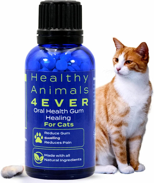 HA4E - Cat Oral Health - Relieves Inflammation, Soothes Pain & Fights Gum Disease - Natural, Non-GMO, Organic, Gluten-Free & Chemical-Free - 300 Tablets
