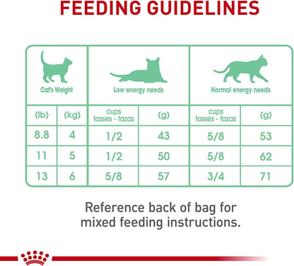 Royal Canin Feline Care Nutrition Digestive Care Adult Dry Cat Food, 3 lb Bag