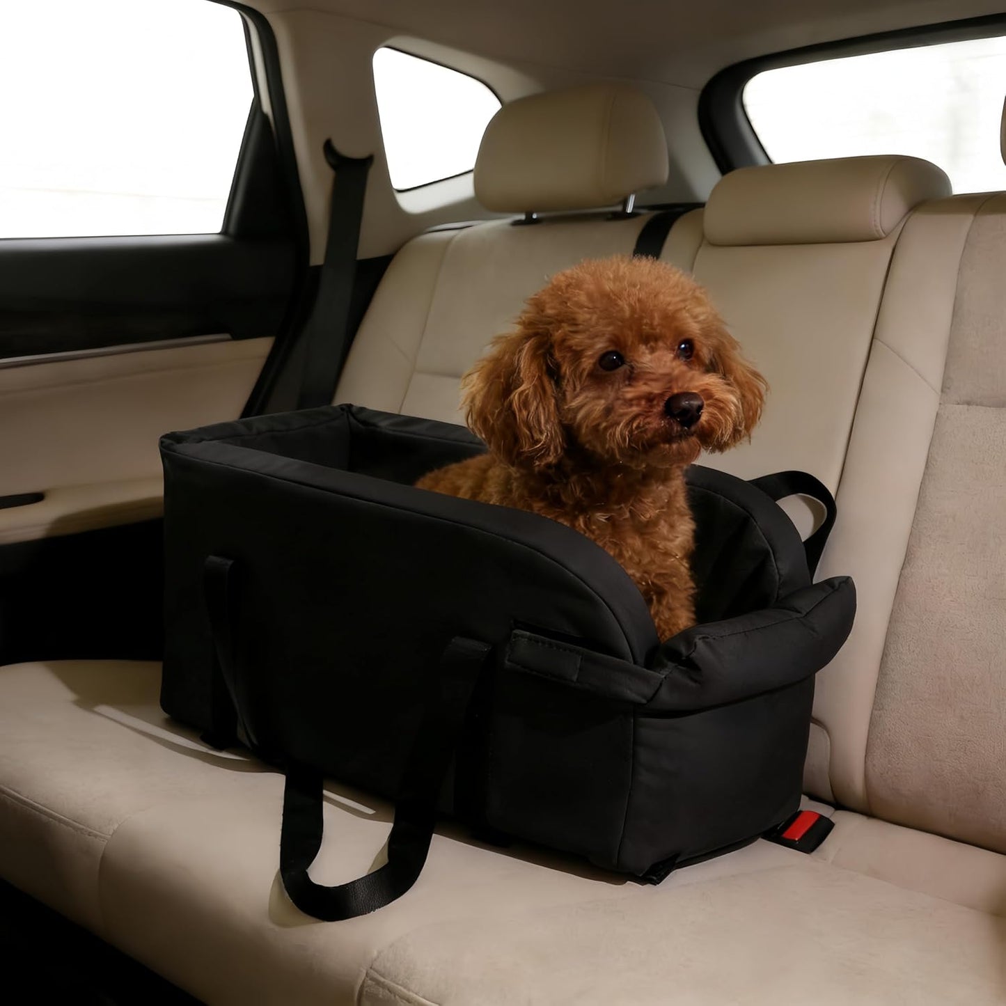 Center Console Dog Car Seat, Small Dog Car Seat, Waterproof Pet Bed with Safety Leash, Anti-Collapse Pet CarSeat with Soft Cushion, Easy Wipe Clean for Puppies Under 11 lbs (Black)