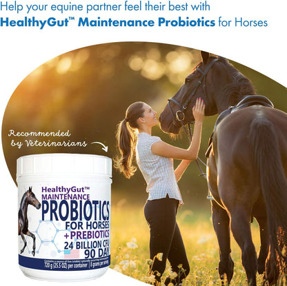 HealthyGut™ Probiotics for Horses Dietary Supplement, All-Natural Digestive System Maintenance Formula (90 Days)