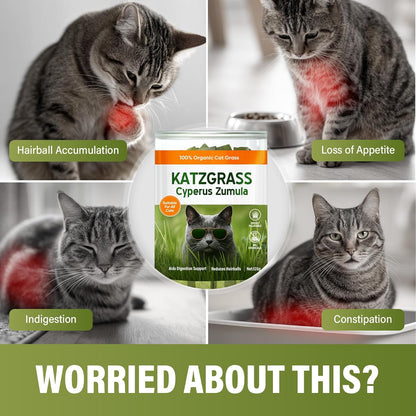 Cat Grass Treats, Natural Hairball Treatment for Cats, Healthy Freeze-Dried Supplement to Aid Digestion and Control Hairballs, 120 g