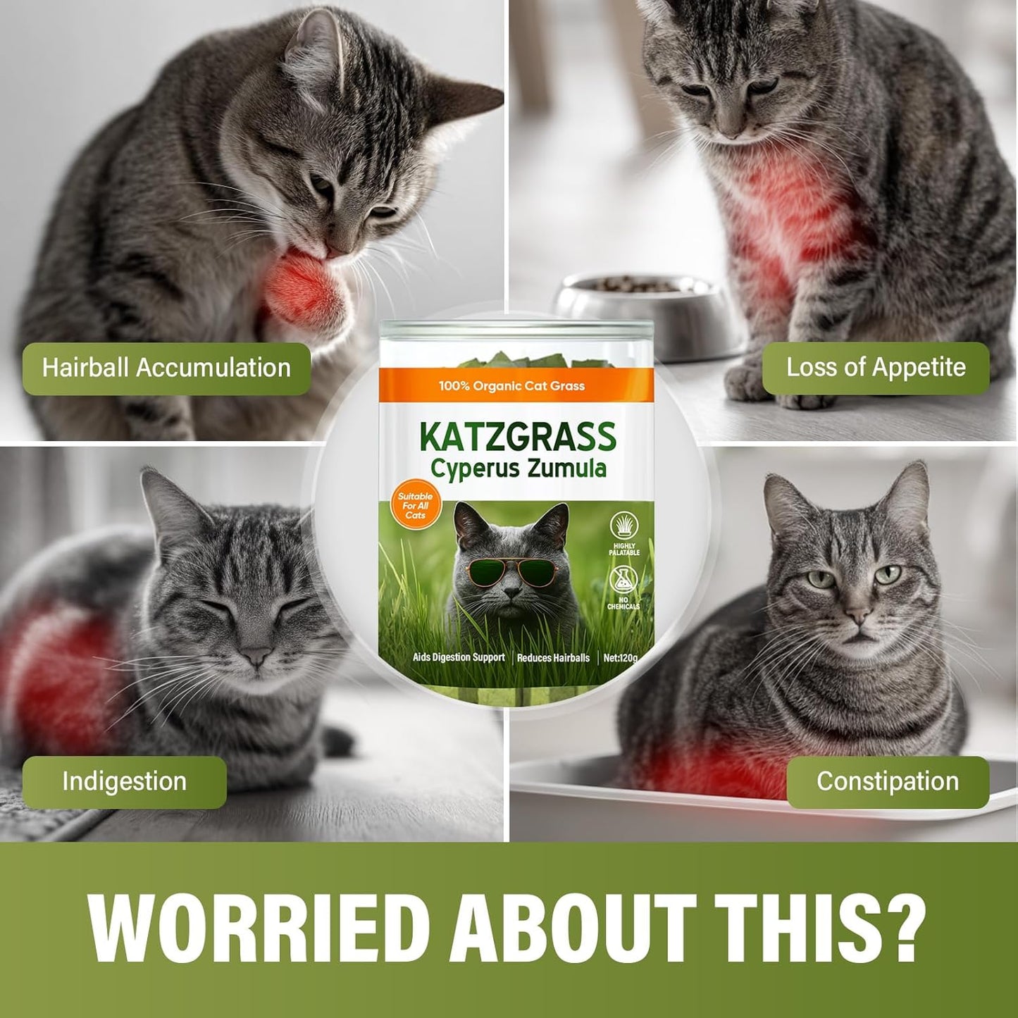 Cat Grass Treats, Natural Hairball Treatment for Cats, Healthy Freeze-Dried Supplement to Aid Digestion and Control Hairballs, 120 g