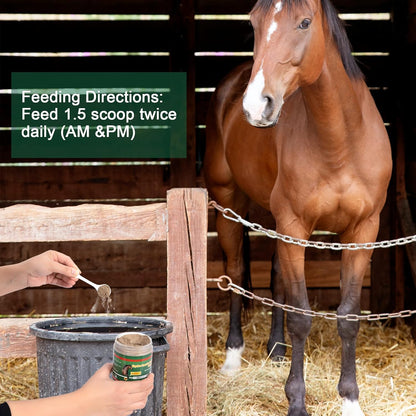Insulin Resistance Supplement for Horses - Horse Laminitis Treatment-Natural Laminitis Herbal Powder for Sore Feet & Chronic Laminitis, 1.87lb (90-Day Supply)
