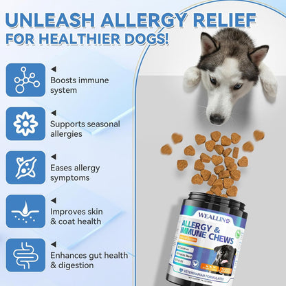Dog Vitamins & Dog Allergy Relief Chews