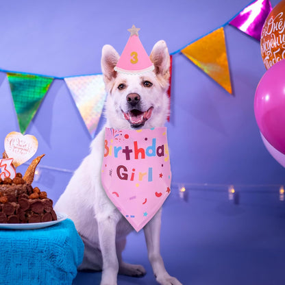 Dog Birthday Decorations, Birthday Dog Bandana Hat with Numbers Dogs Birthday Party Supplies for Small Medium Large Dogs