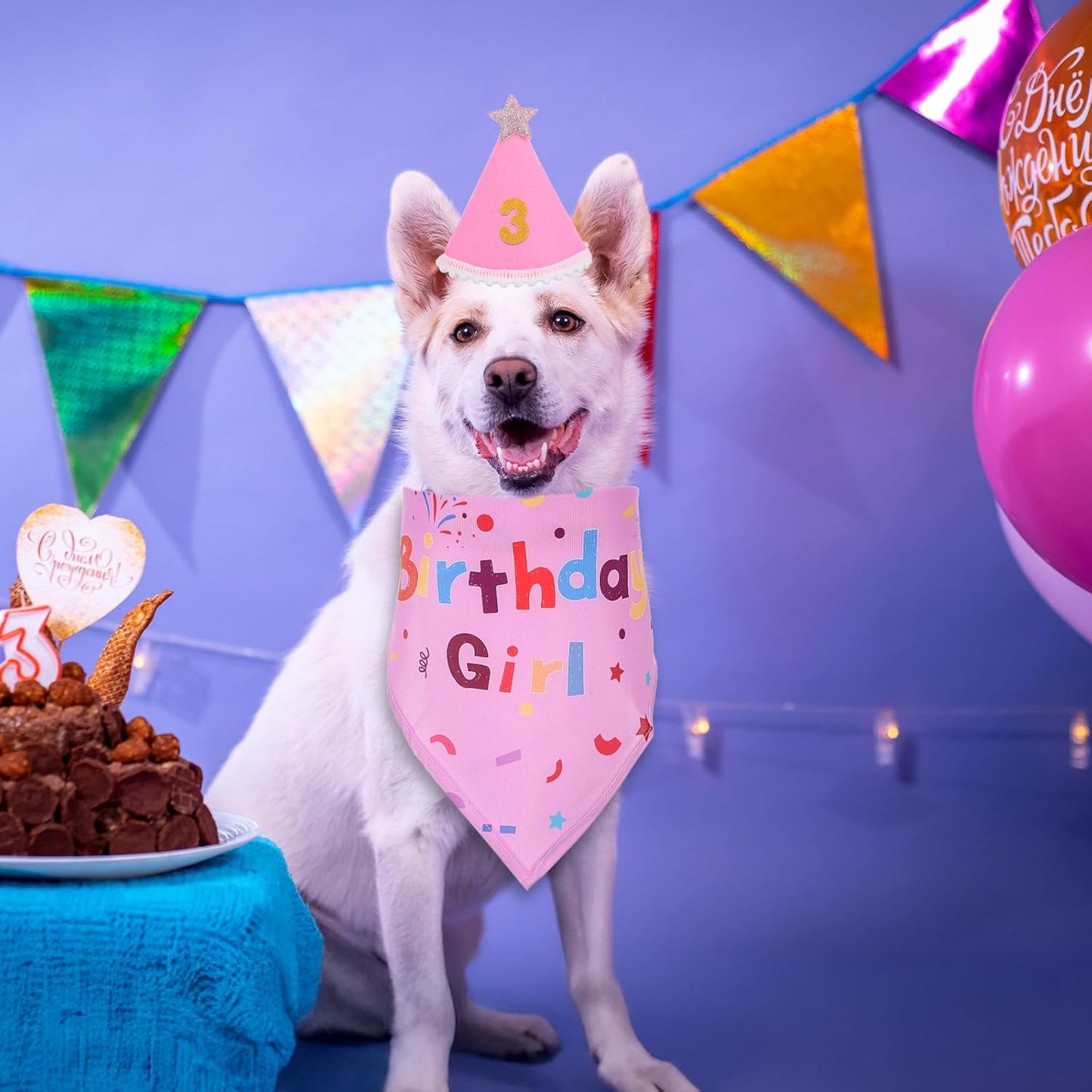 Dog Birthday Decorations, Birthday Dog Bandana Hat with Numbers Dogs Birthday Party Supplies for Small Medium Large Dogs