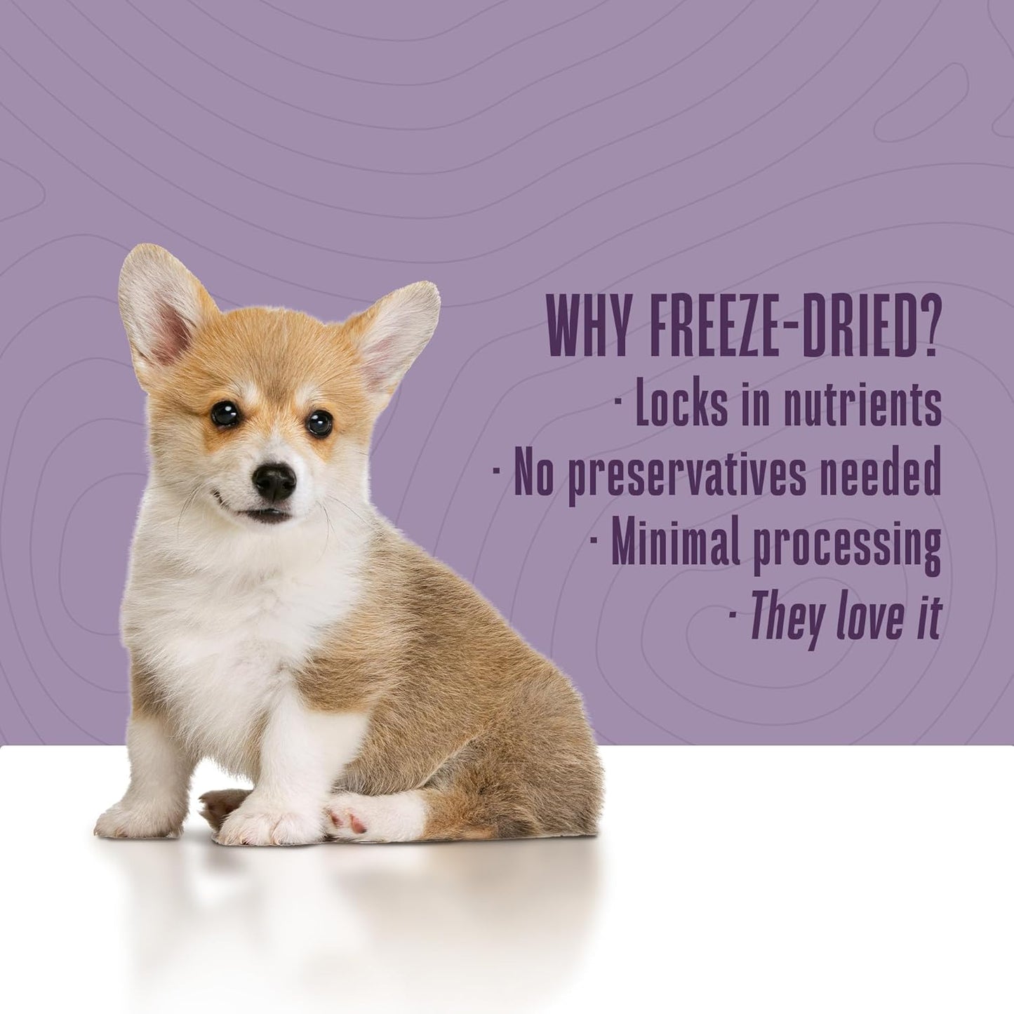 Whole Life Dog Mini Ones Beef Liver Freeze Dried Dog Treats - Human Grade High Protein Food, Healthy Training Snacks, Freeze Dried Food Toppers, USA Made Natural Treats - 6 oz (Pack of 1)