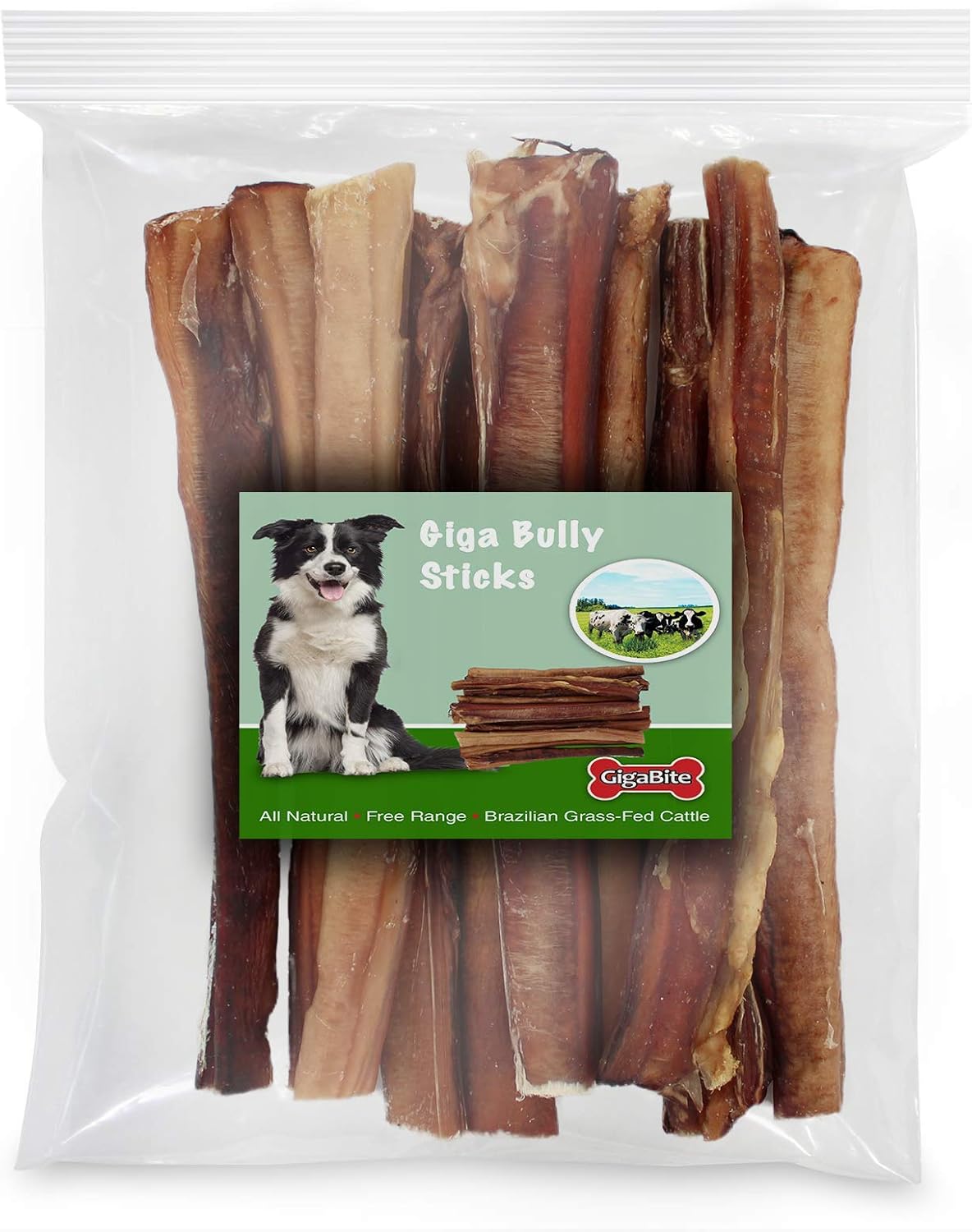 GigaBite 12" Giga Bully Sticks (Pack of 8) - All Natural, Free Range Beef Pizzle Dog Treat - by Best Pet Supplies