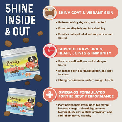 Bernie's OMG! Omegas Chews for Dogs - 5X Extra Strength DHA+EPA, Fish Oil, Healthy Skin & Coat, Allergy Relief, Joint Supplement (Salmon Flavor)
