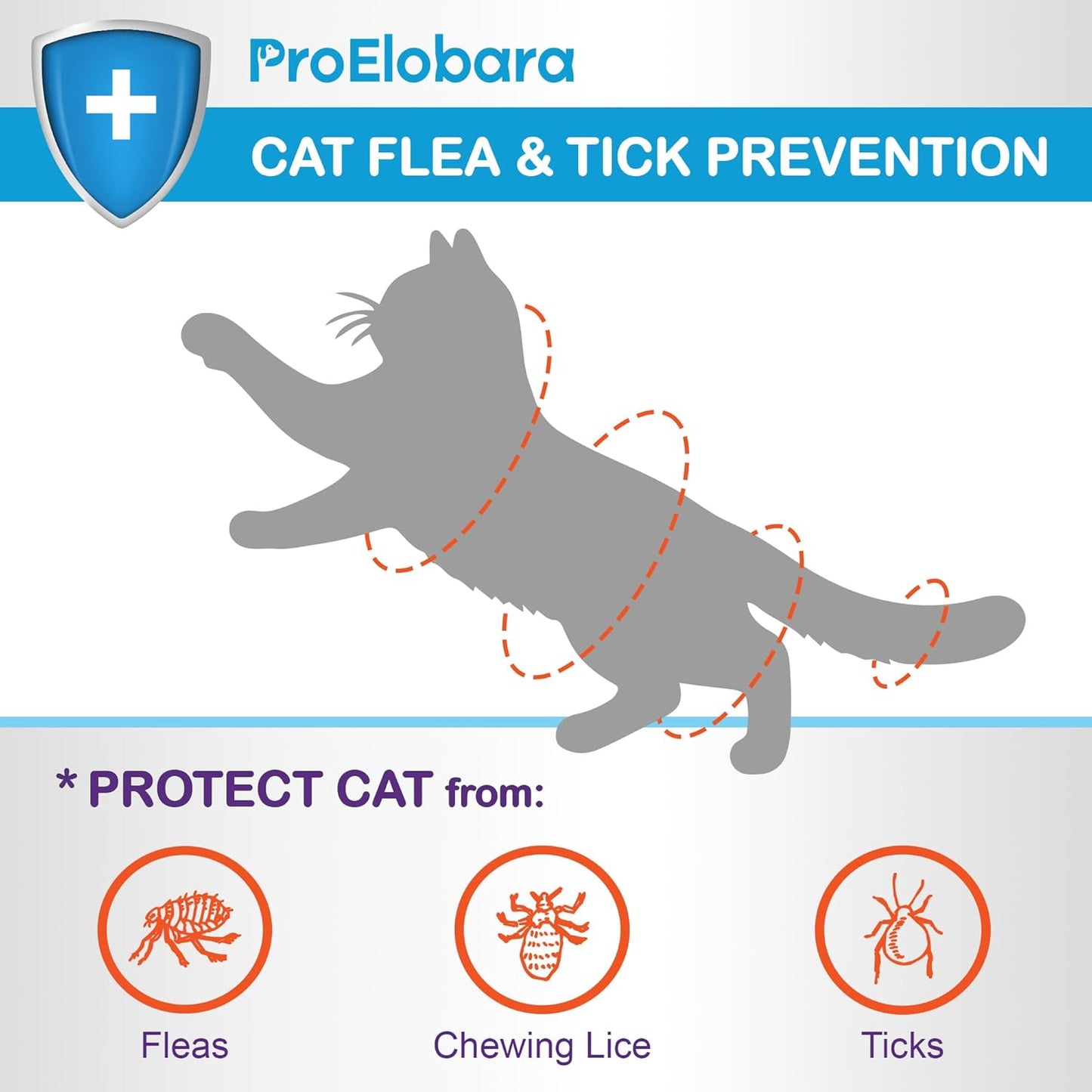Topical Flea and Tick for Large Cats: Waterproof Topical Cat Flea and Tick – Fast-Acting & Long-Lasting at Home Control for Cats Over 9 lbs and 8 Weeks or Older – 6-Dose Supply