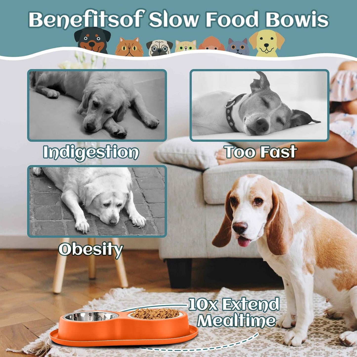 3-in-1 Slow Feeder Dog Bowl Set, Pick Any Color with Non-Slip Mat & Stainless Steel Bowls to Slow Eating for Dogs & Cats(Orange).