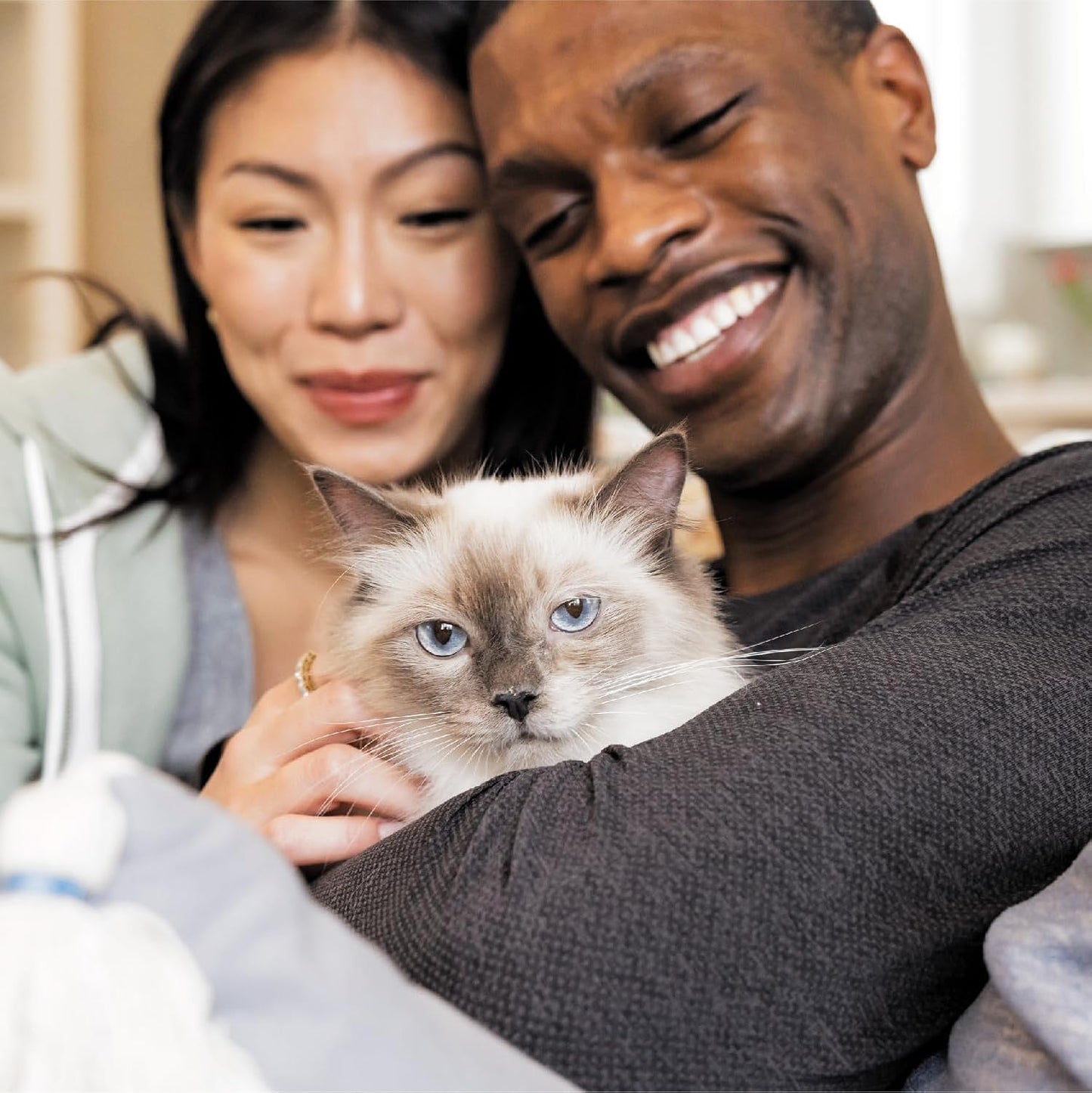 IAMS Proactive Health Adult Hairball Care Dry Cat Food with Chicken and Salmon, 3.5 lb. Bag