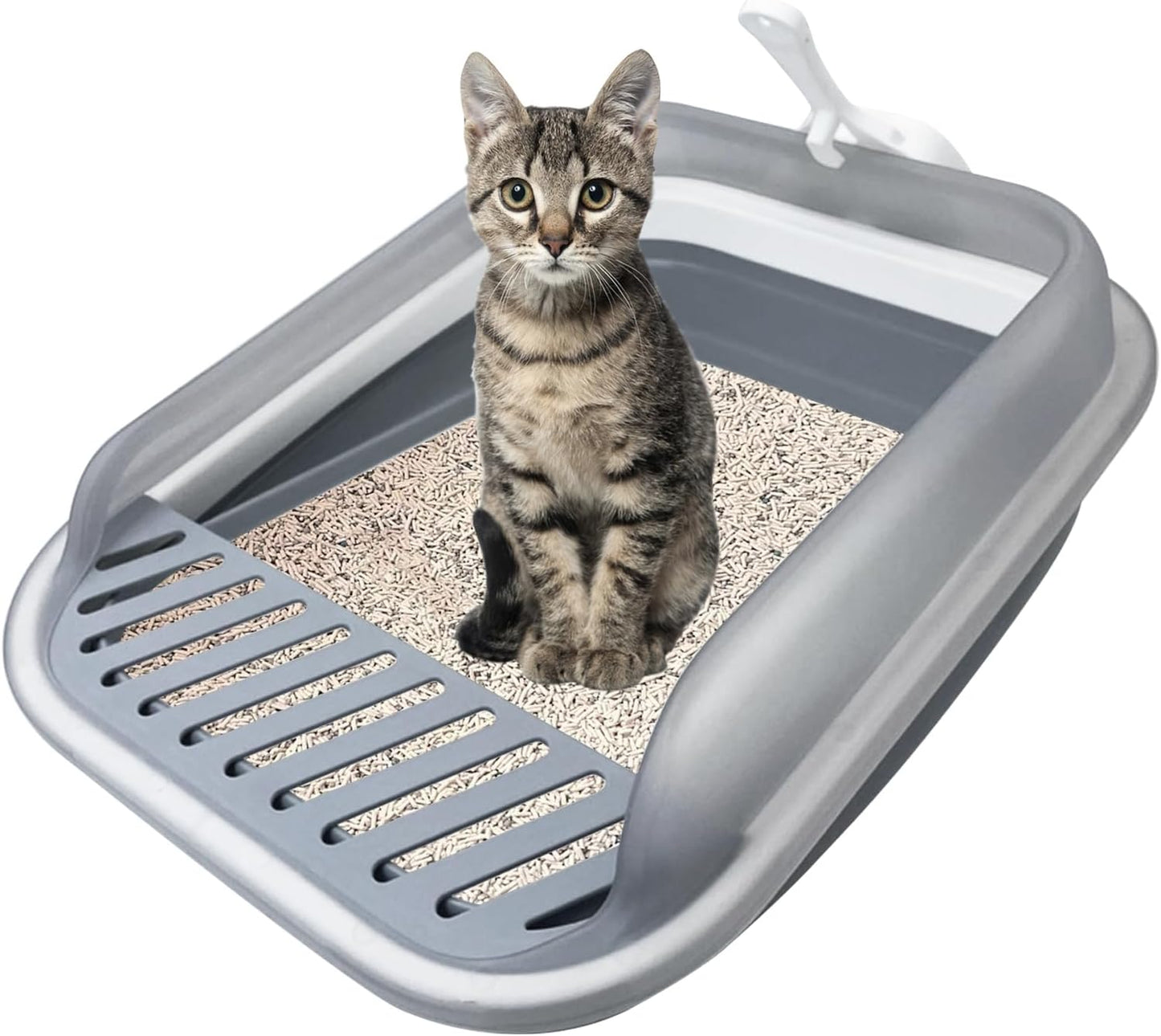 VCEPJH Collapsible Litterbox with High Sides Small Cats Litter Pan with Scoop Open Cat Litter Box Portable Travel Kittens Toilet Kitten Starter Kit for Kittens Adult and Elderly Cats (Grey)