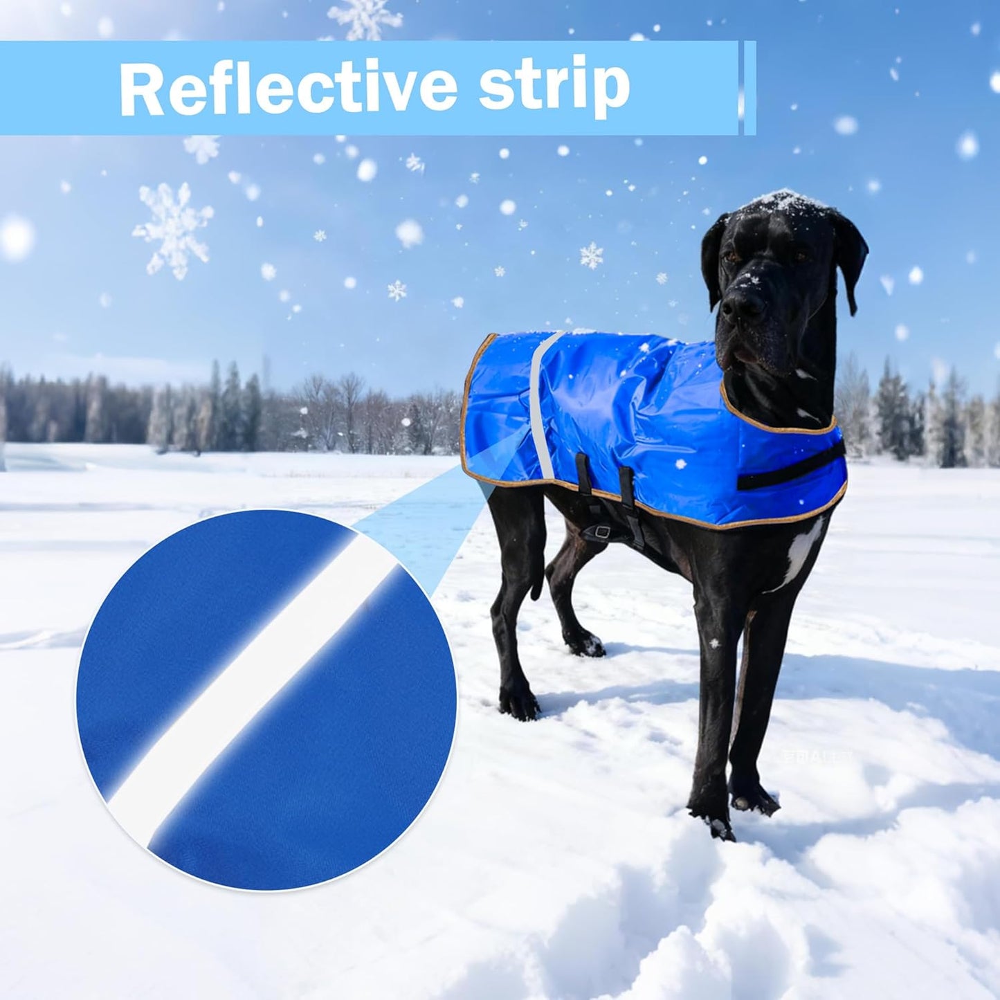 Winter Calf Coat with Fleece Lining - Water-Resistant Blanket for Calves, Goats, Foals, Donkeys, Alpaca and Large Dogs | 2-Pack