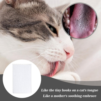 4PCS Soft Cat Brush for Grooming, Kitten Brushes for Indoor Kittens, Gentle Cat Tongue Brush with over 1000 prickly serrations for Sensitive Cats, Daily Grooming & Enhancing Bonding