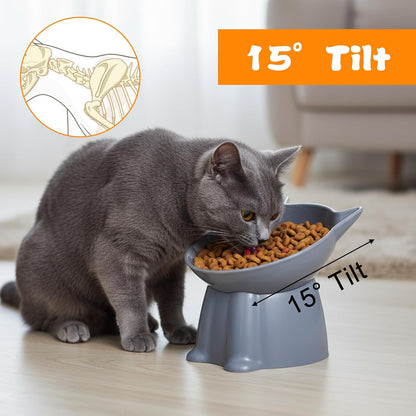 6Pcs Elevated Cat Bowls, 15°Raised Cat Food Bowl, Anti Vomiting Tilted Raised Whisker Friendly Cats Dishes, Plastic Pet Food and Water Bowls for Cats and Small Dogs