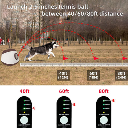 AutoDog Ball Launcher - Large Silent Dog Ball Thrower with Remote Control, 3 Adjustable Distances (40t/60ft/80ft), Rechargable,Includes 6 Durable 2.5" Balls for Medium/Large Dogs (Blue -, Large)