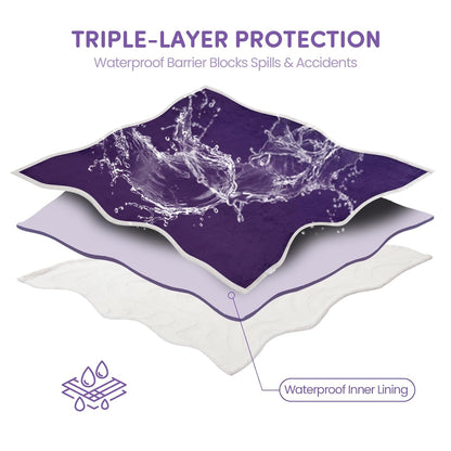 3 in 1 Carpet Rake for Pet Hair Removal & Waterproof Dog Blanket