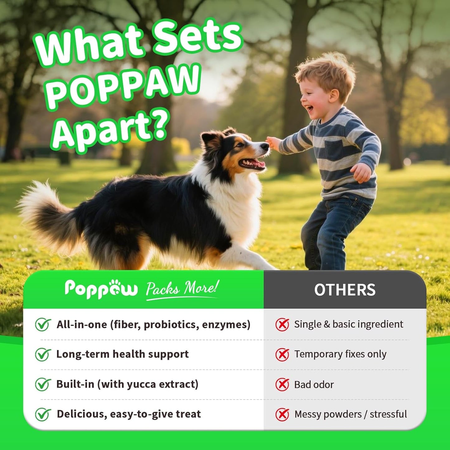 Dog Probiotics & Digestive Enzymes – Pumpkin Fiber Chews for Gut Health, Diarrhea & Upset Stomach Relief, Gas & Stool Support, Beef Flavor Soft Chews – 90 Count