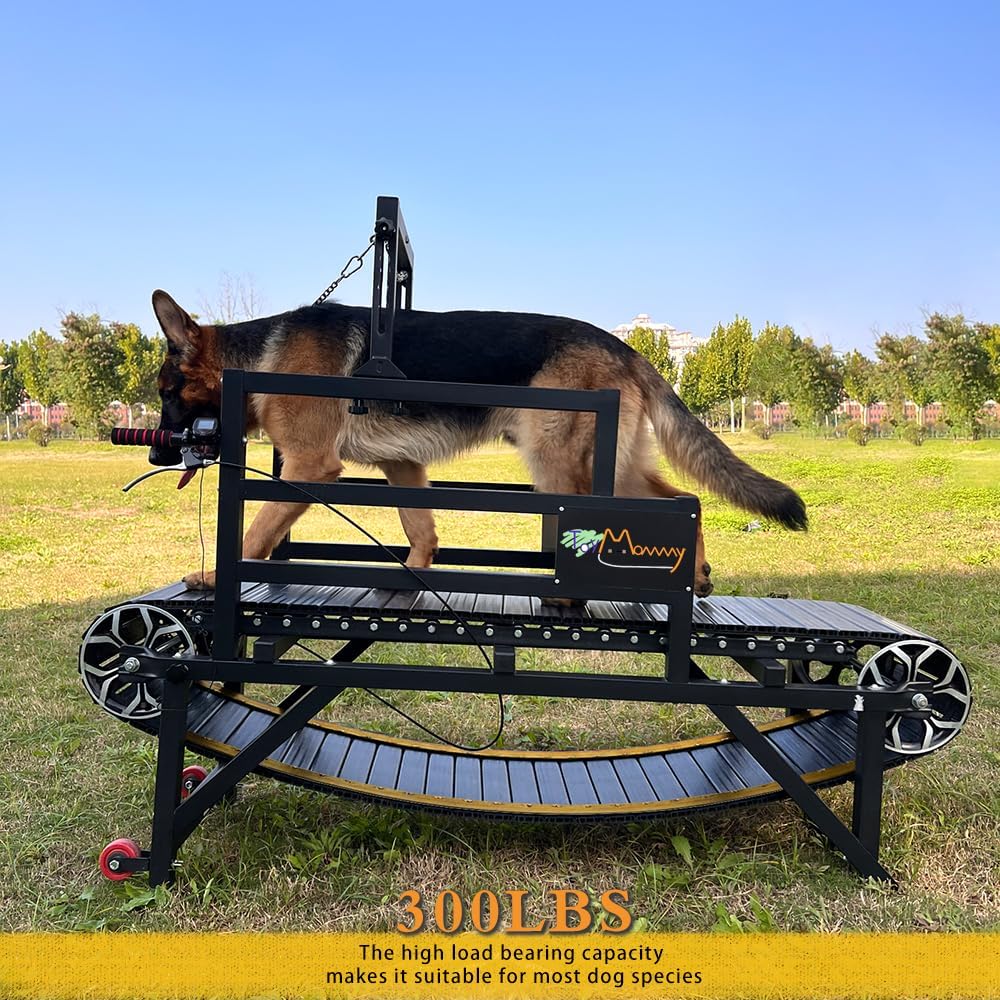 Dog Treadmill with Disc Brake, Resistance Adjustment & Paw-Friendly PE Slatmill - Heavy Duty Dog Treadmill for Large & Medium Dogs, Supports Up to 300 lbs, Easy to Move for Indoor & Outdoor Use