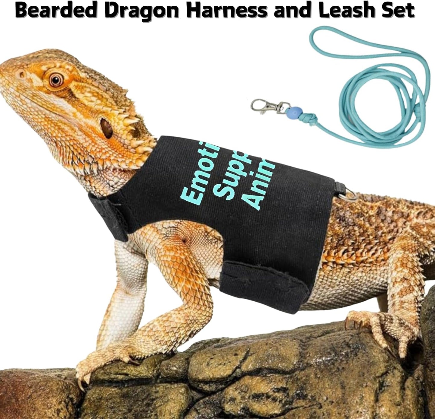 Bearded Dragon Harness and Leash Set - Adjustable Lizard Traction Rope Outdoor Walking Training Leash Reptile Emotional Support Animal Costume Accessories for Bearded Dragon Lizard Small Pets (Blue)