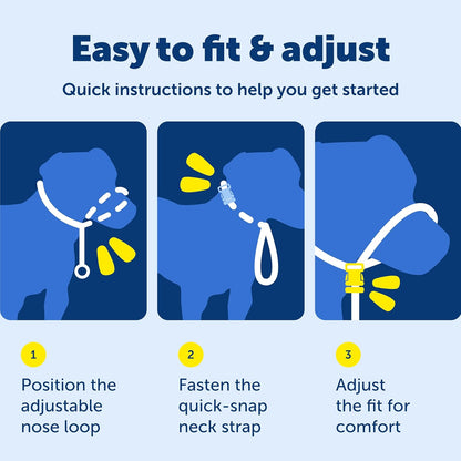 PetSafe Gentle Leader Headcollar No-Pull Dog Collar - Helps Improve Walks - Durable Nylon Construction - Padded Nose Loop - Adjustable Fit - Comfort Walking Halter - Medium, Black