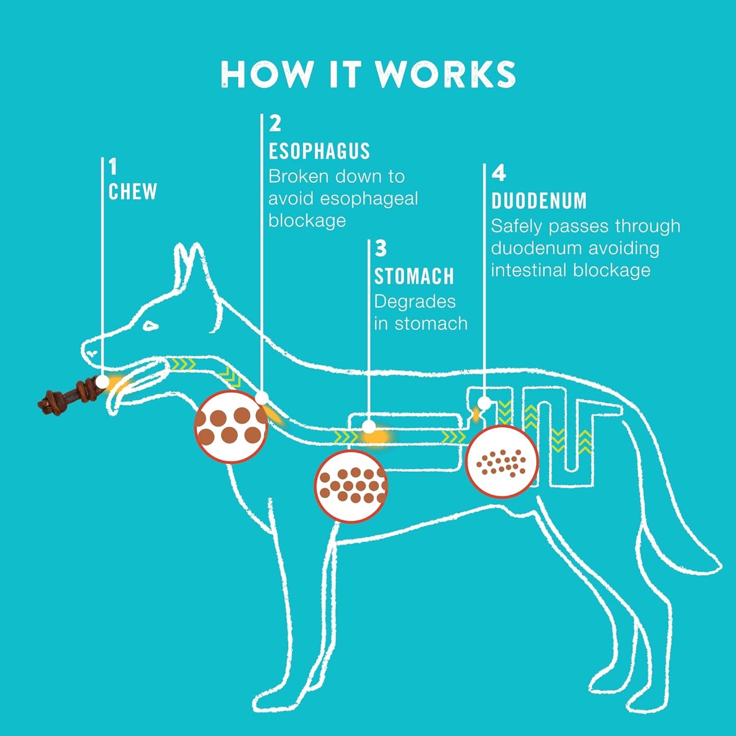 TRURANCH 4-5" Collagen Bones, Bully - Collagen Dog Bones - Long Lasting Healthy Joint Support Dog Treat - Rawhide Alternative - Skin & Coat Health, 1 Bag, 4 Count