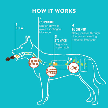 TRURANCH 4-5" Collagen Bones, Bully - Collagen Dog Bones - Long Lasting Healthy Joint Support Dog Treat - Rawhide Alternative - Skin & Coat Health, 1 Bag, 4 Count