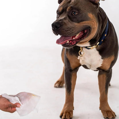 Dexypaws: Pet Wipes - Oatmeal & Vitamin E - 200ct Canister, Cleansing Wet Wipes, Cats & Dogs Grooming Care, Paws-Face-Ears-Nose, Moist-Gentle-Portable